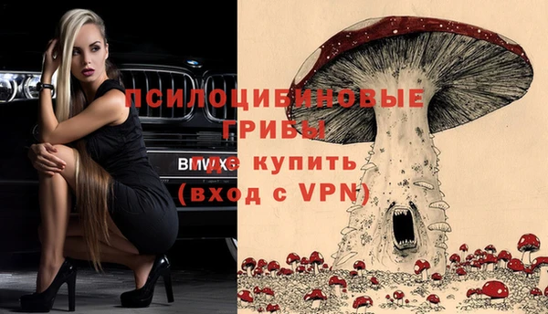 первитин Алексин