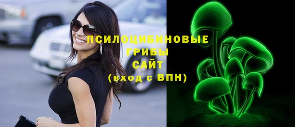 первитин Алексин