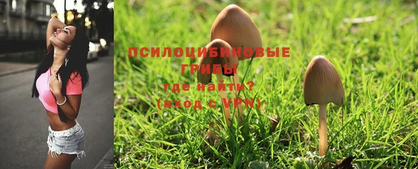 марки nbome Алзамай