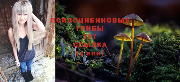 MDMA Алексеевка